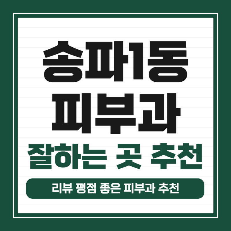 송파구 송파1동 피부과 유명한 곳 모공 레이저 잘하는 곳 추천 TOP 5