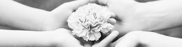 좋은 글귀: 감사