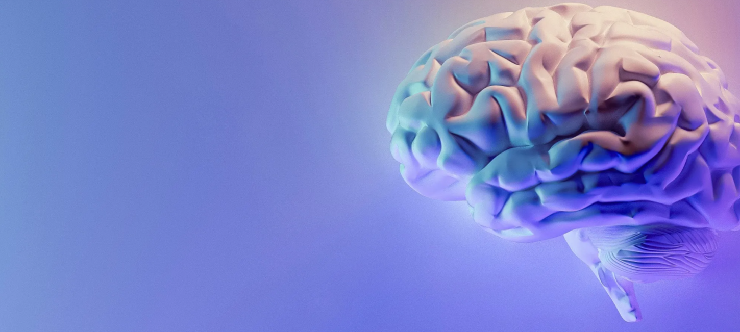 포스파티딜-세린-효능-기억력영양제-집중력개선-부모님건강-뇌영양제