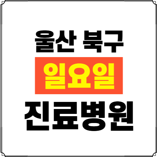 울산 북구 일요일 진료병원 찾기 ❘ 24시 휴일 주말 응급 야간 심야 문여는 병원
