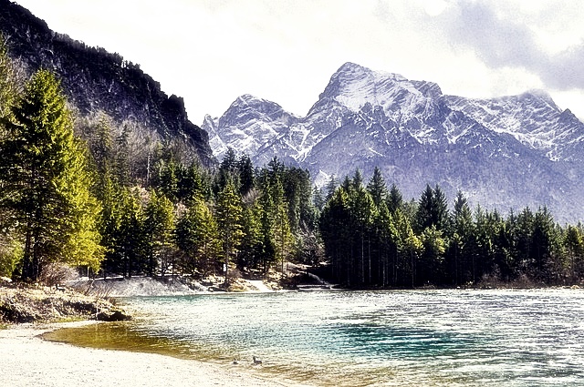 토지(임야)대장