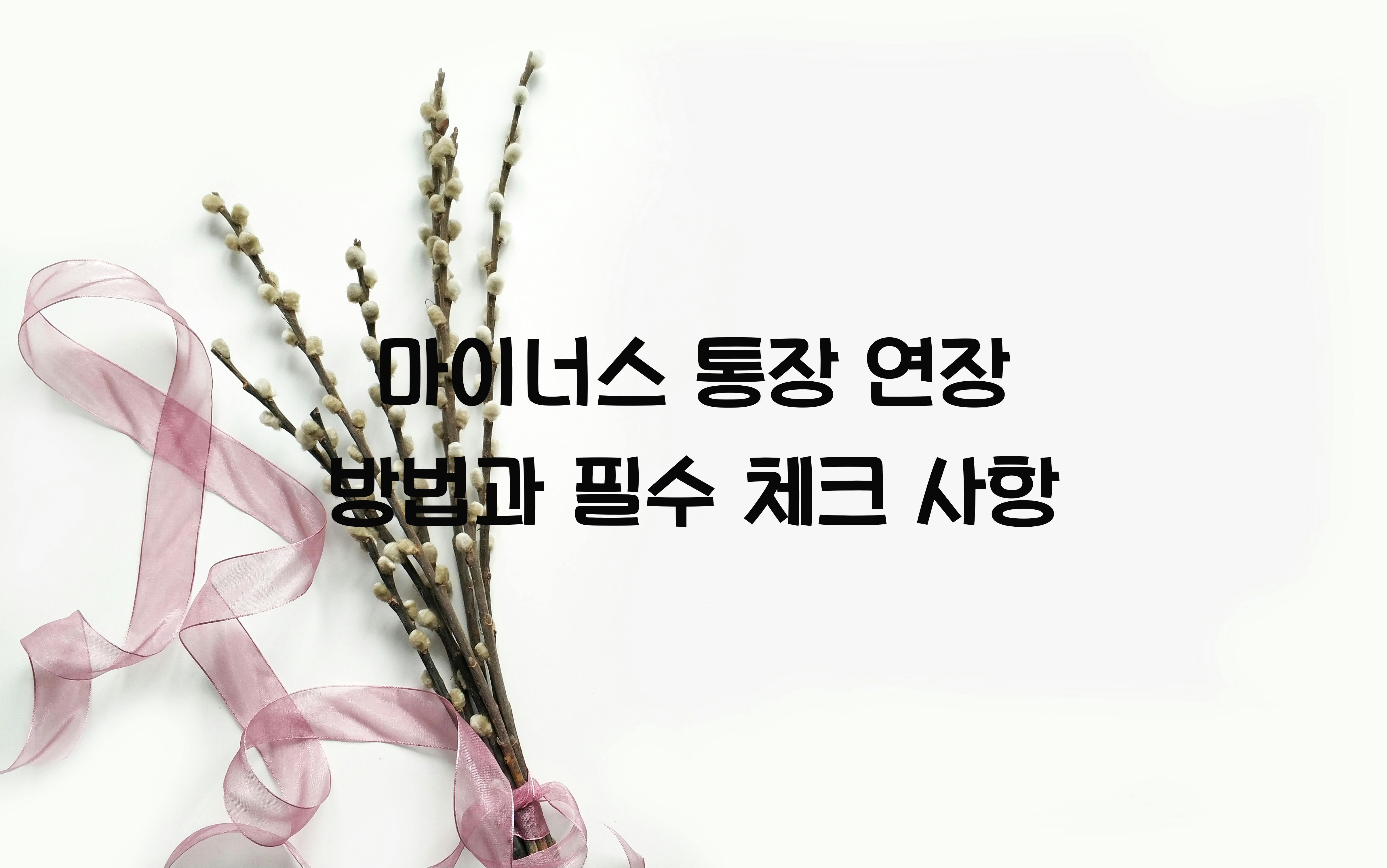 마이너스 통장 연장 방법