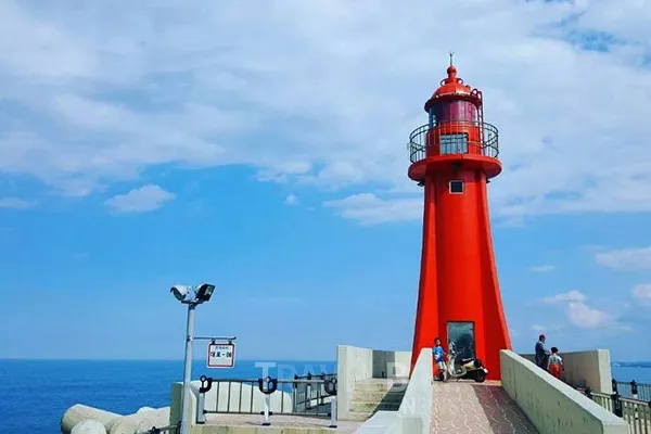속초 대포항 맛집 추천 회센터 근처 인기 식당 리스트_4