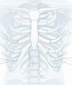 왼쪽 옆구리 통증