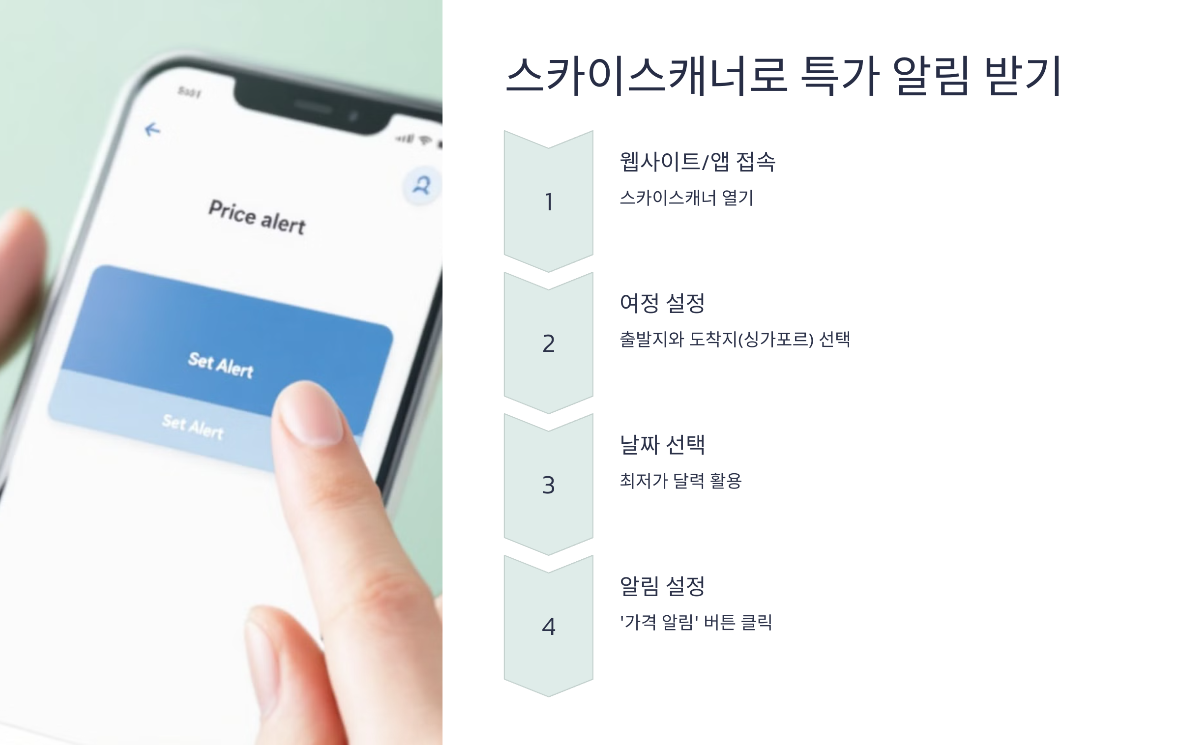 1️⃣ 스카이스캐너(Skyscanner)로 특가 알림 받기