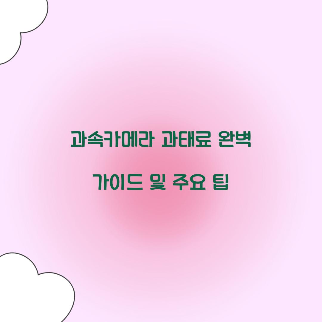 과속카메라 과태료