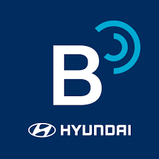 블루링크