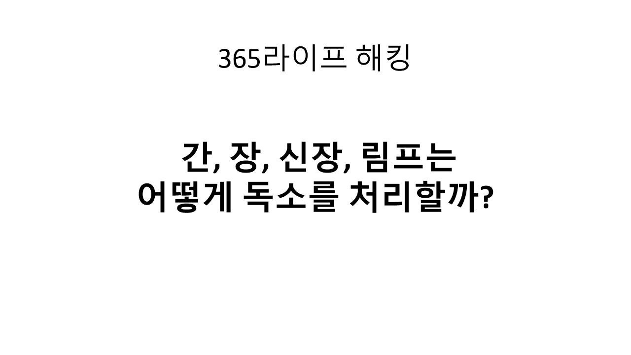 피곤한 이유는 간 때문이야? 해독기관이 망가지면 생기는 증상들