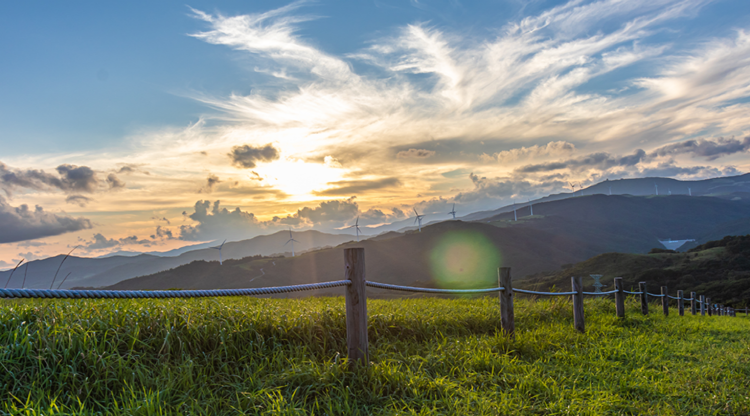 대관령 하늘목장