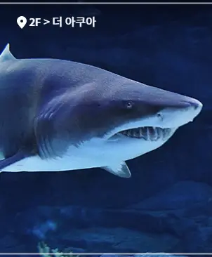 일산-아쿠아플라넷-할인-입장료-가격-운영시간