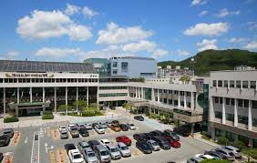 경유차 조기폐차지원금