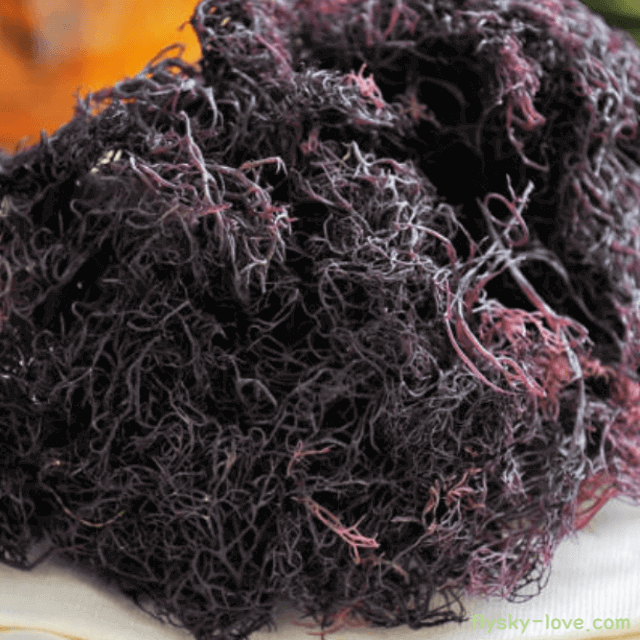 세모가사리 효능