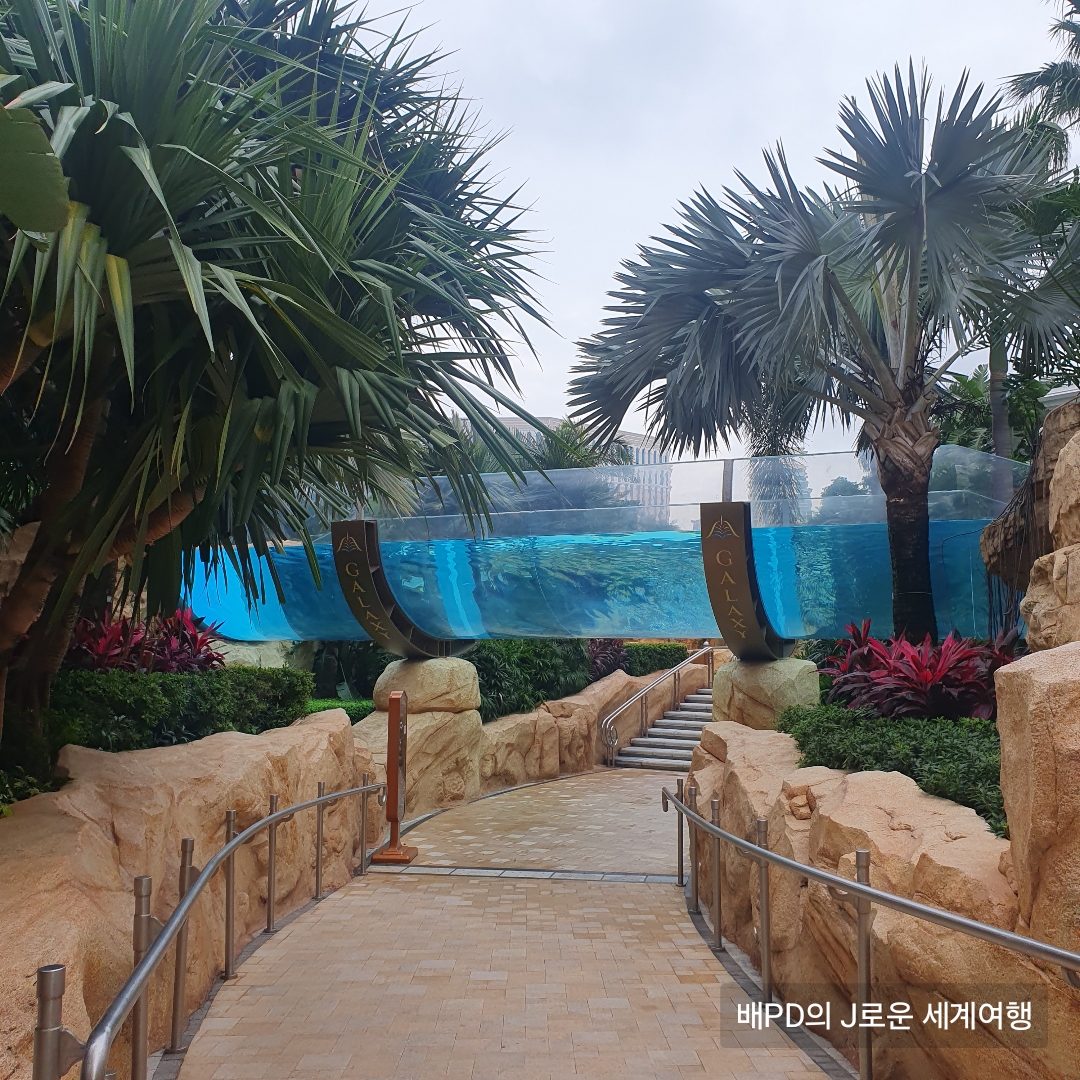 마카오 갤럭시호텔 수영장