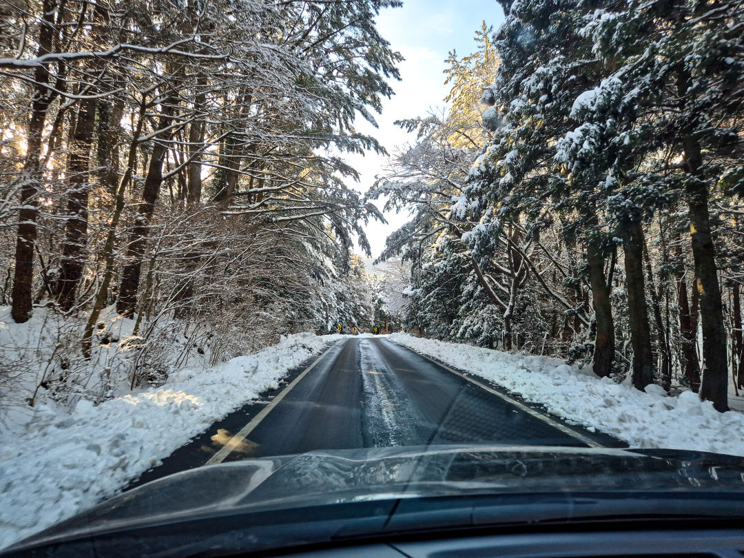 겨울 드라이브