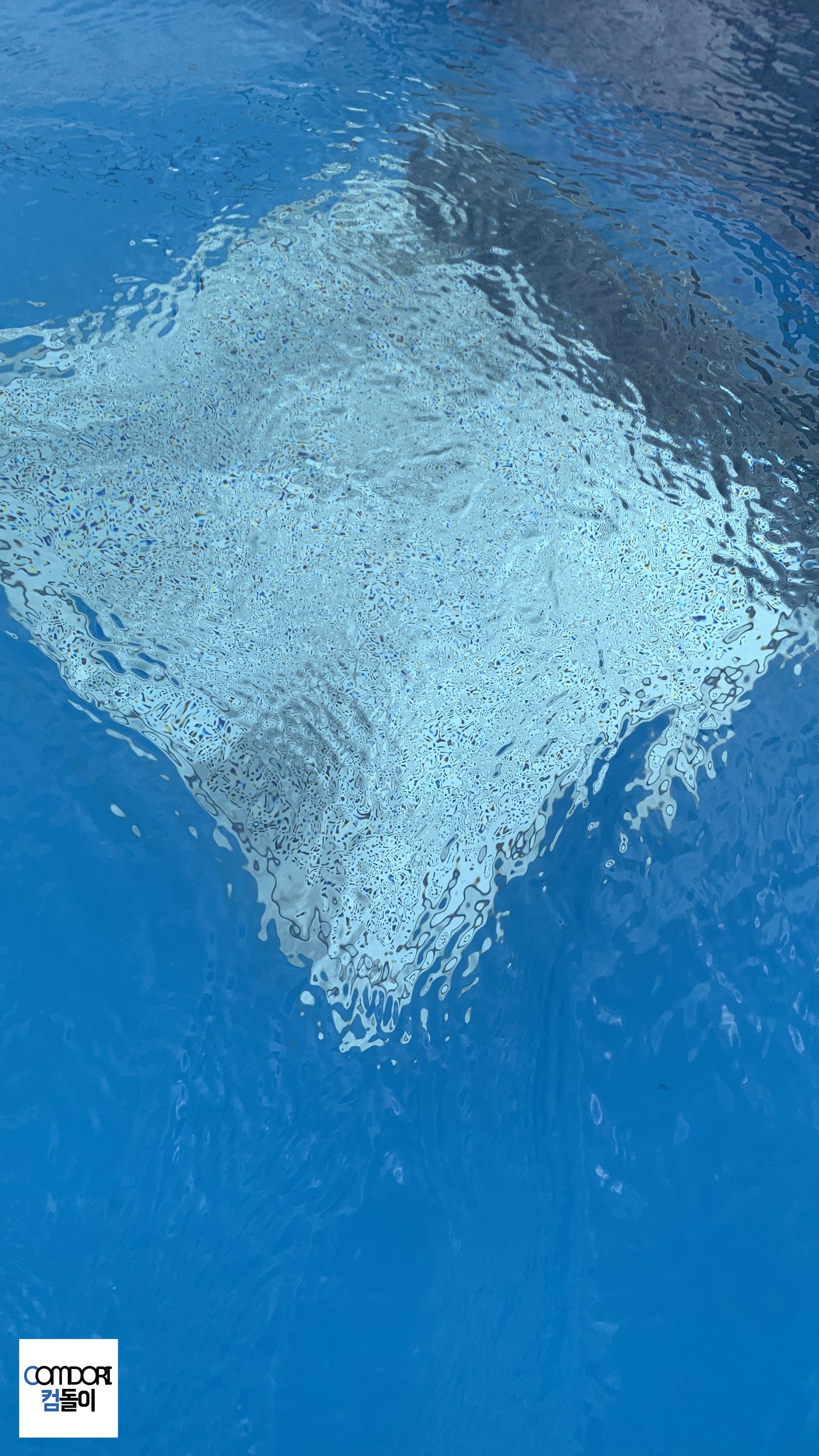 스타필드 수영장