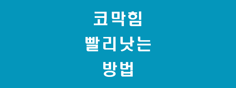 코막힘-빨리-낫는법