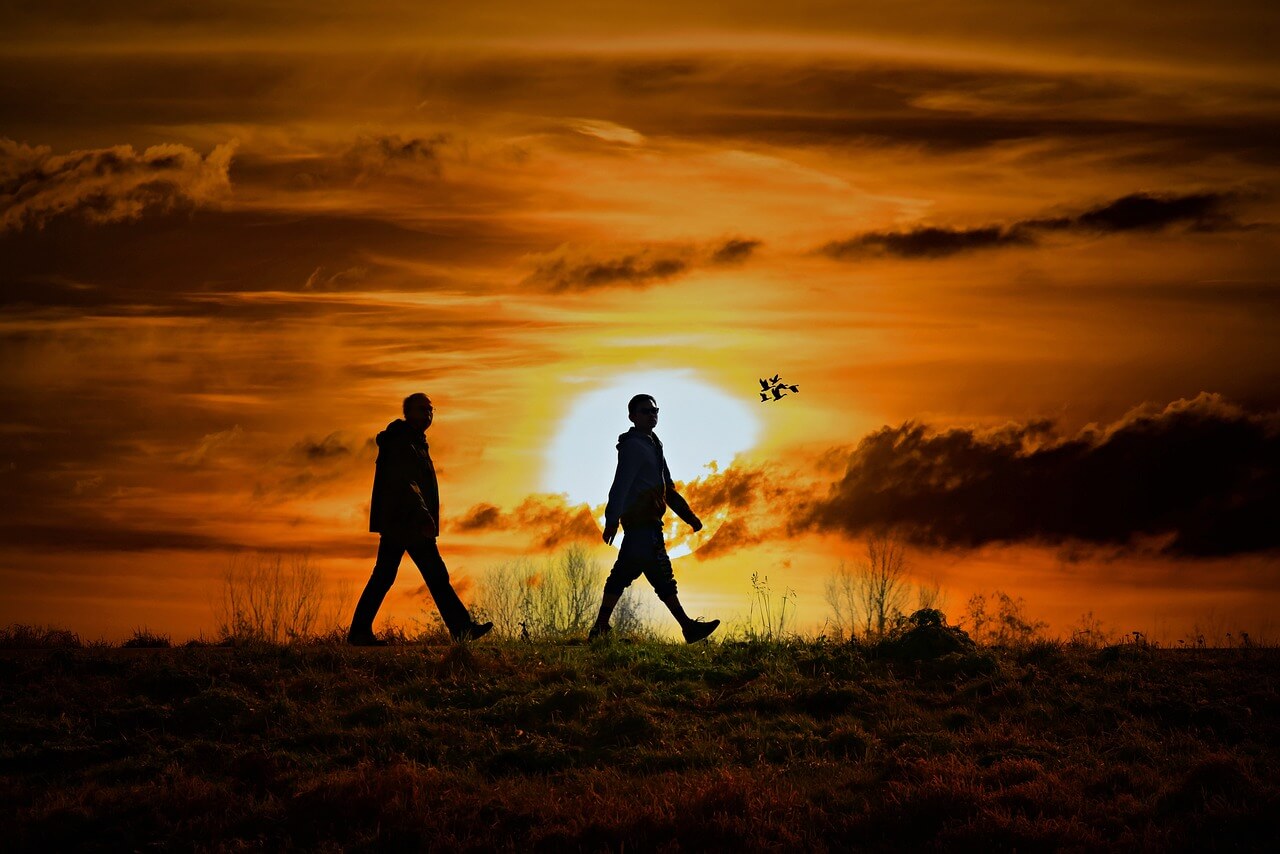 고양체력인증센터 예약하고 국민체력 100 튼튼머니