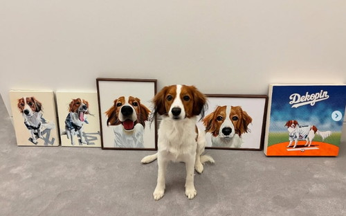 오오타니의 반려견 데코핀 (Decoy)