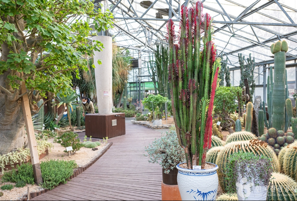 선인장 전시관