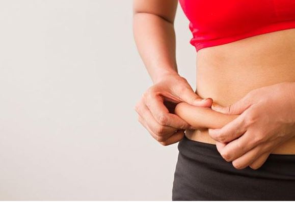 체지방률정상범위-관리-방법