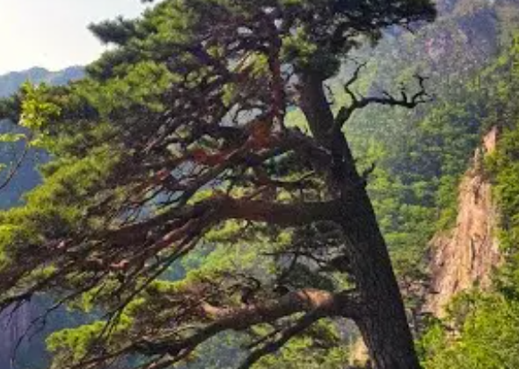 설악산 케이블카 예약 방법&amp;#44; 할인 요금