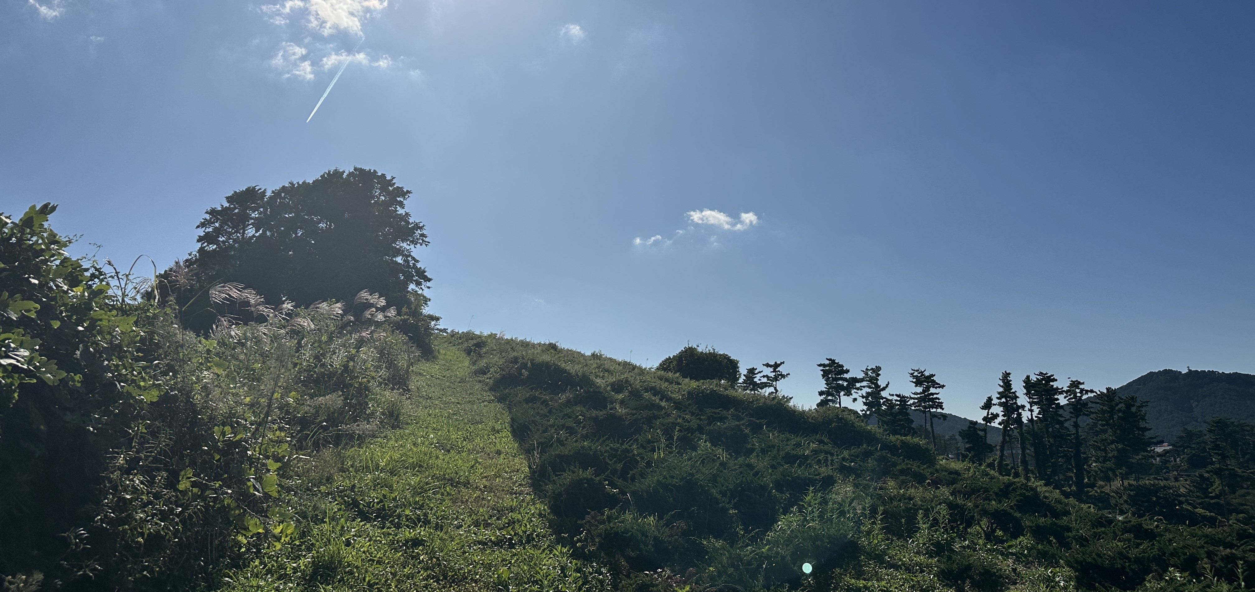 오드싱오름 산책로