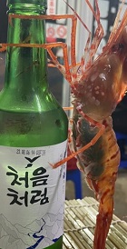 독도새우