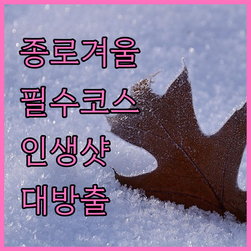 종로 겨울 명소 TOP 5와 실내 대..