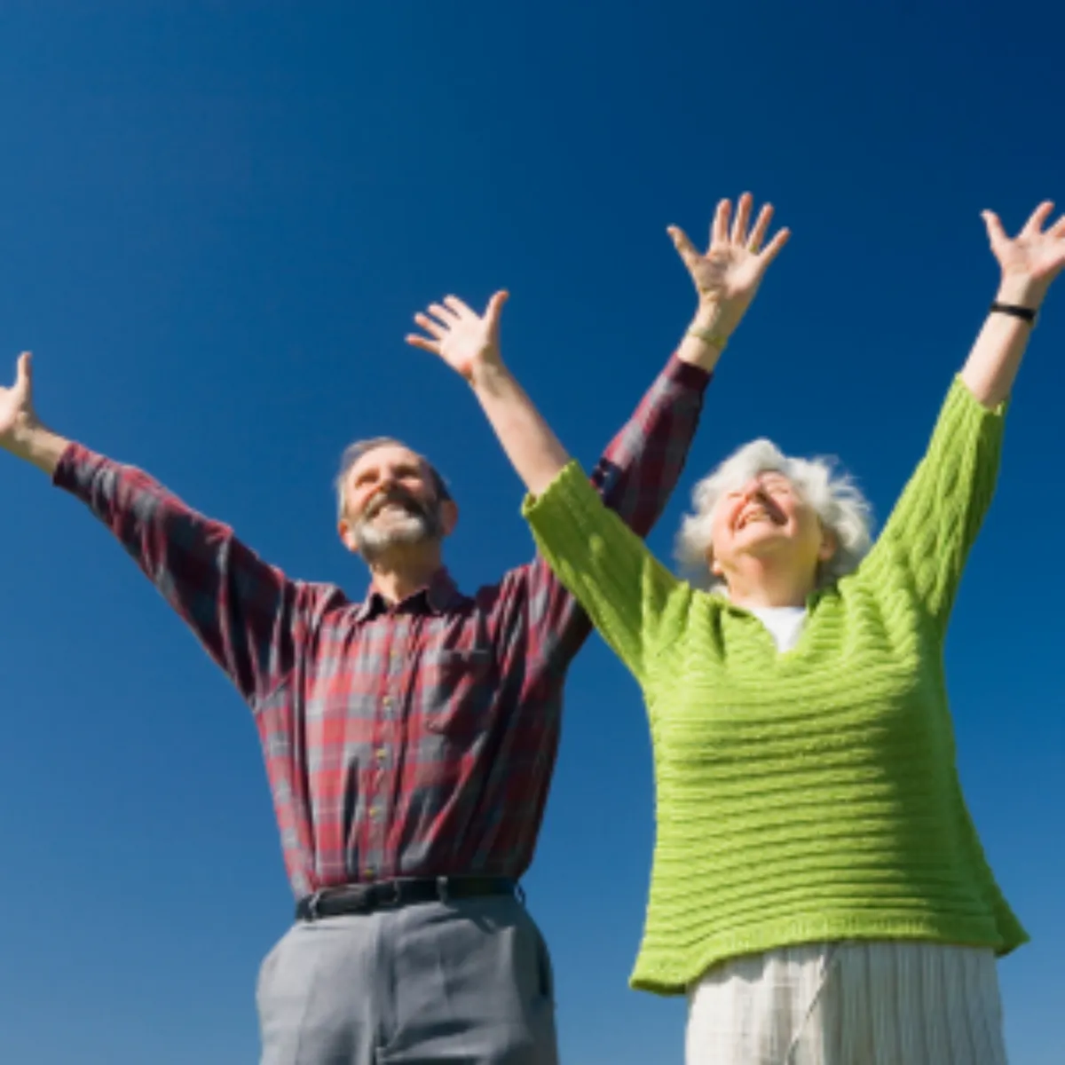 2025년 노인 일자리 사업