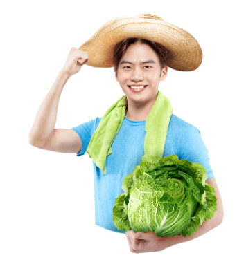 절임배추 만드는법 영양 보관방법 구매팁