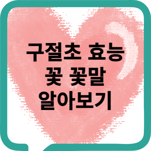 구절초 효능 꽃 꽃말