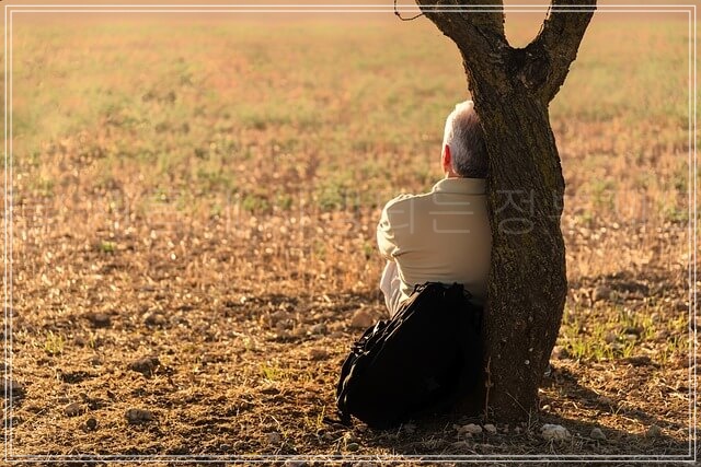 7월 이후, 꼭 주목해야 할 복지·금융·생활 정책 변화 총정리