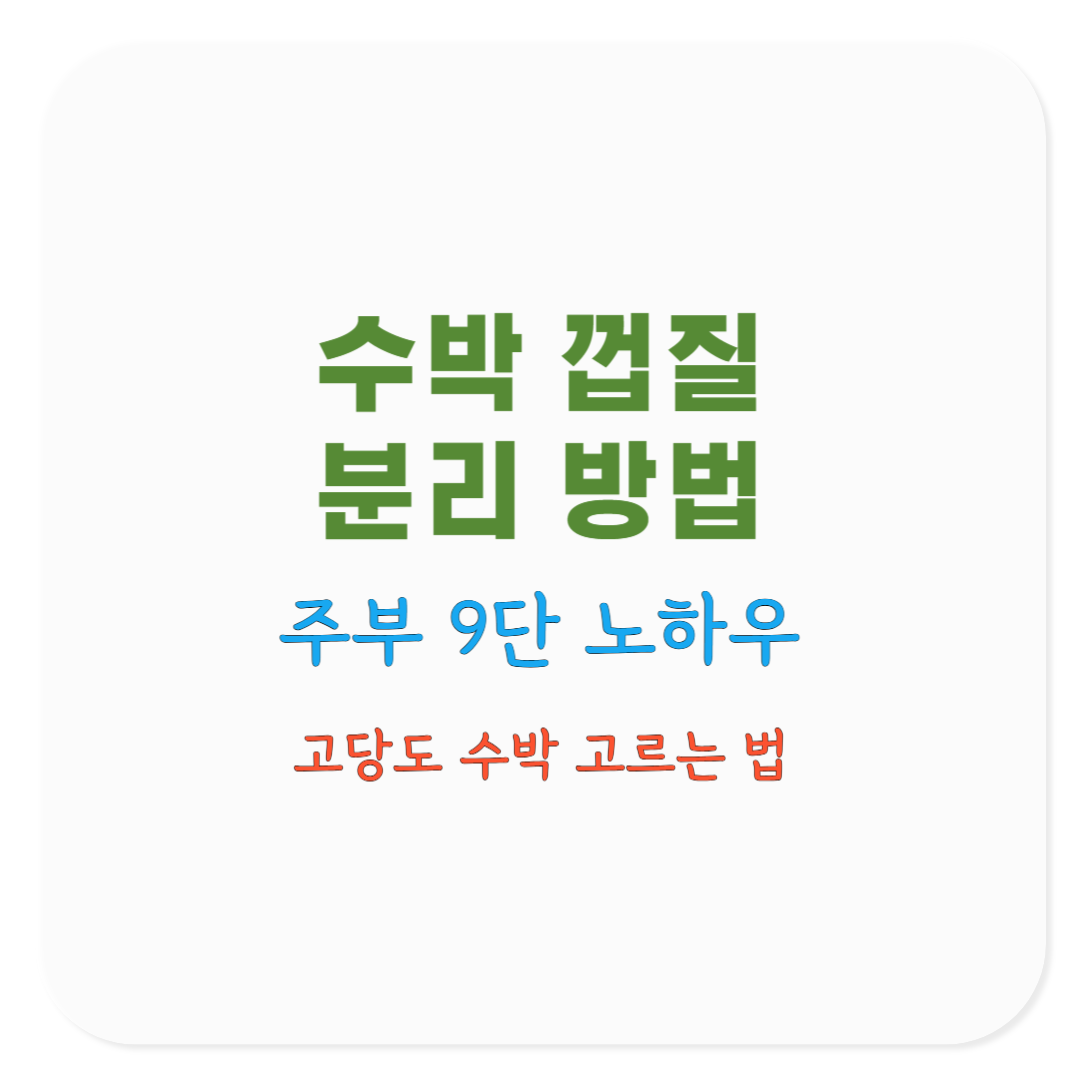 여름철 수박 껍질 분리 수거 방법 5가지 총정리 ❘ 주부 9단 노하우, 고당도 수박 고르는 방법