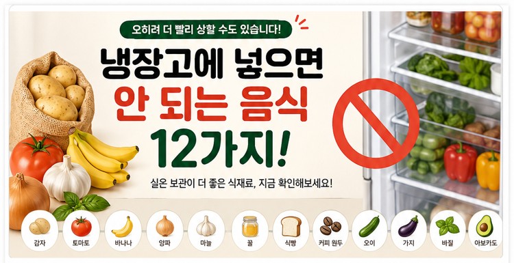 냉장고에 넣으면 안되는 음식 12가지