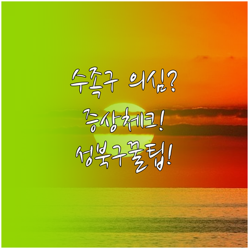 수족구 의심 증상 체크와 성북구 소아..