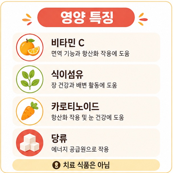 비타민 C, 식이섬유, 카로티노이드, 당류 등 애플망고의 영양 특징과 치료 식품은 아니라는 점을 설명한 그림