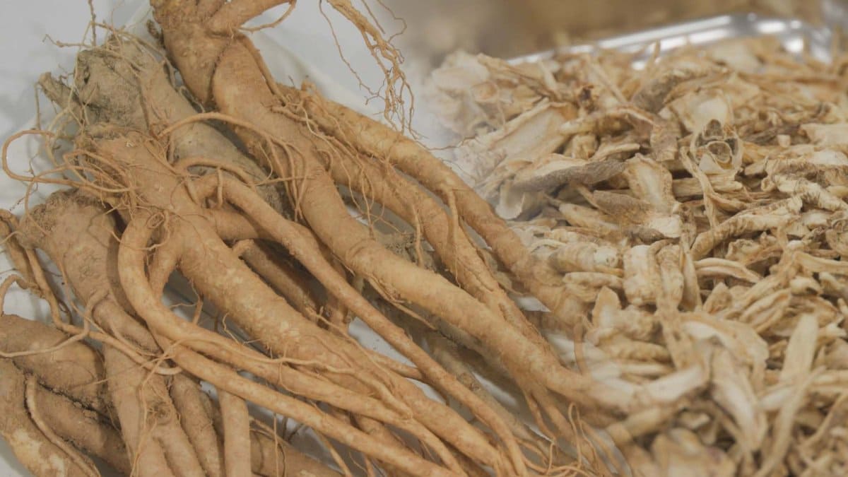 도라지 효능ㅣ도라지 부작용ㅣ도라지 섭취법 활용법