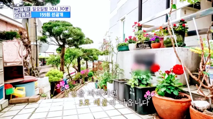 구해줘홈즈 서울 국제부부 광화문역 대중교통 40분 이내 매매 8억원대 정동원 지숙 외인구단 사당의베란다 용효삼방 아파트 정동당당 가양연화 사랑의북센타 소개