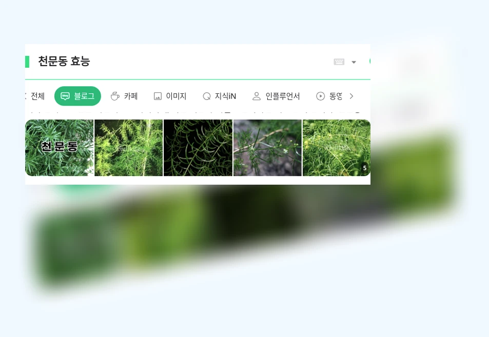 천문동 효능_1_subsection