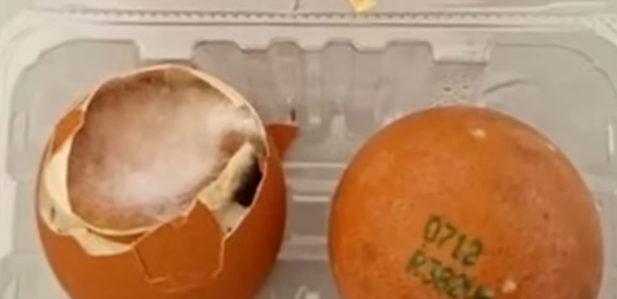 새만금-세계스카우트잼버리-문제점