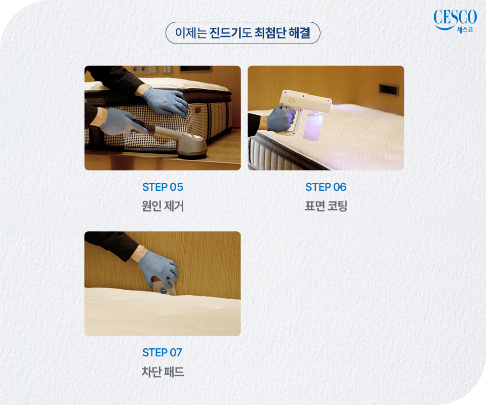 세스코 가정집 가격, 비용, 방역비용, 세스코 진드기 케어 서비스 완벽 가이드