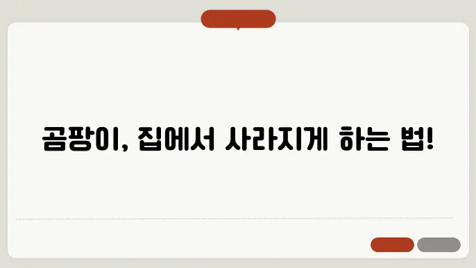 자취방 원룸 곰팡이 제거 및 해결 방법