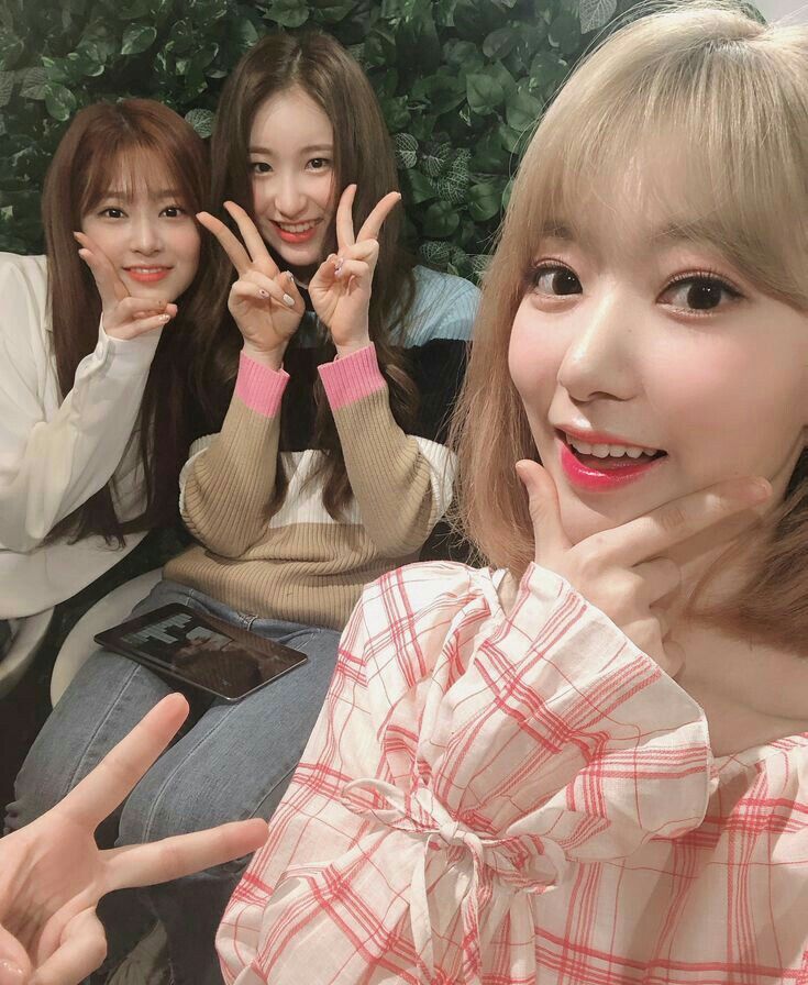 아이즈원 프로듀스48 사진 모음 아이즈원 프로듀스48 사진 모음