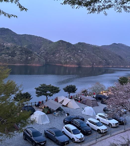 캠핑808 완벽 가이드