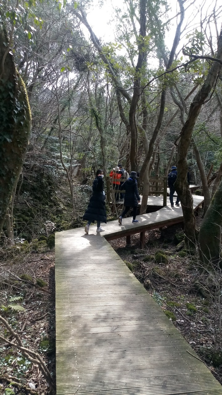 거문오름 탐방로