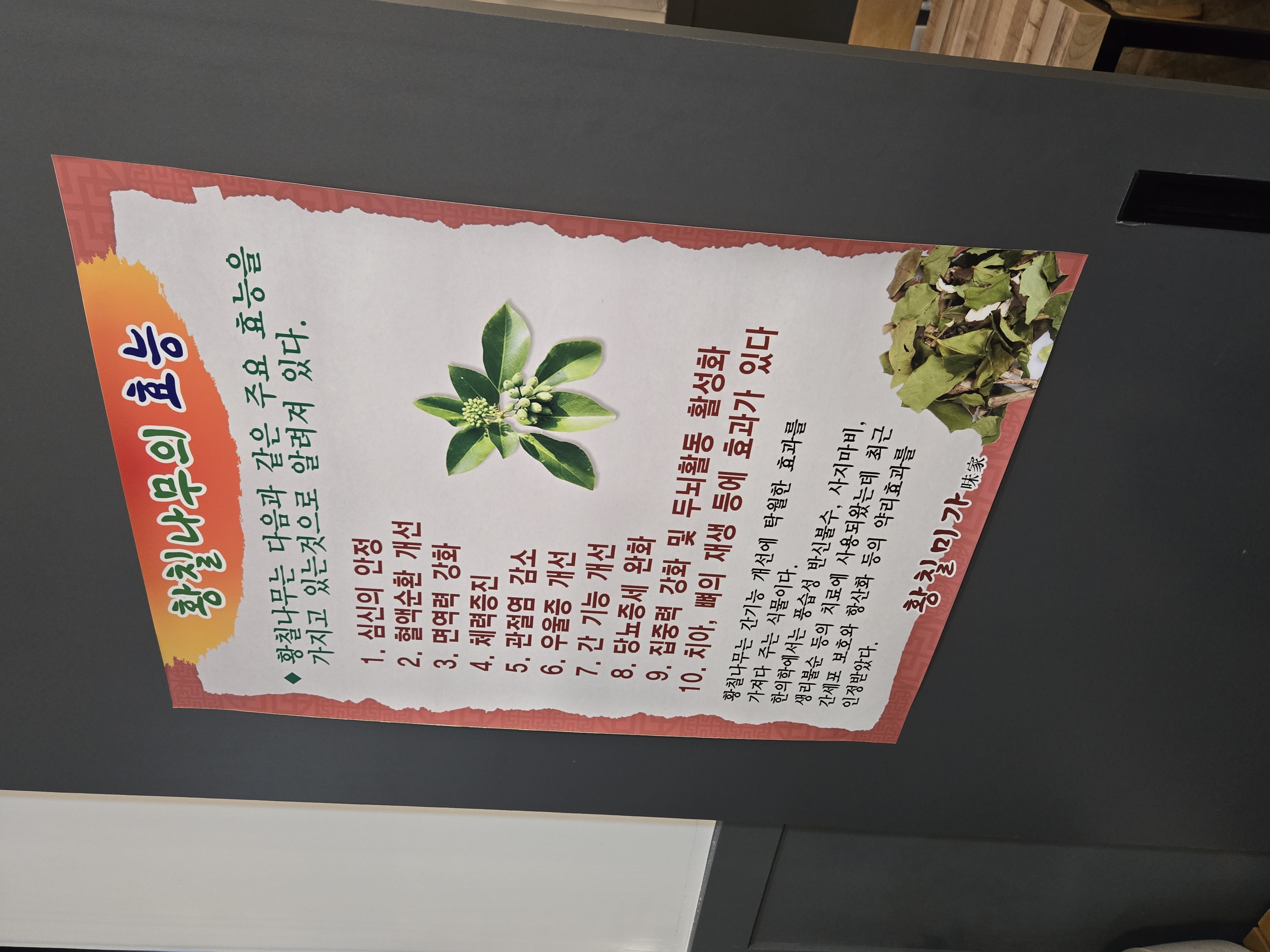 황칠나무의 효능