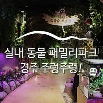 경주 실내 가볼만한곳 베스트 10을 정리_4