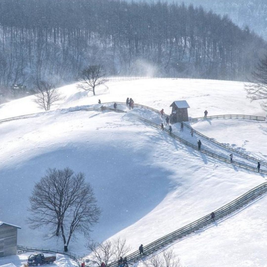겨울에/꼭/가봐야/하는/여행지/강원도/평창