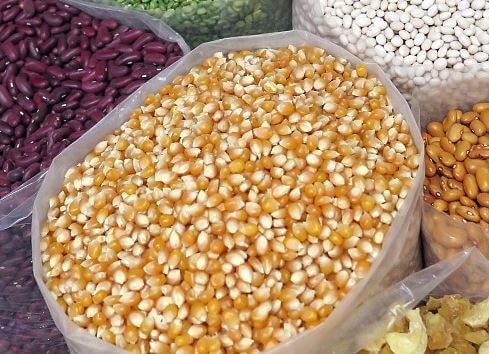 옥수수와 곡물들