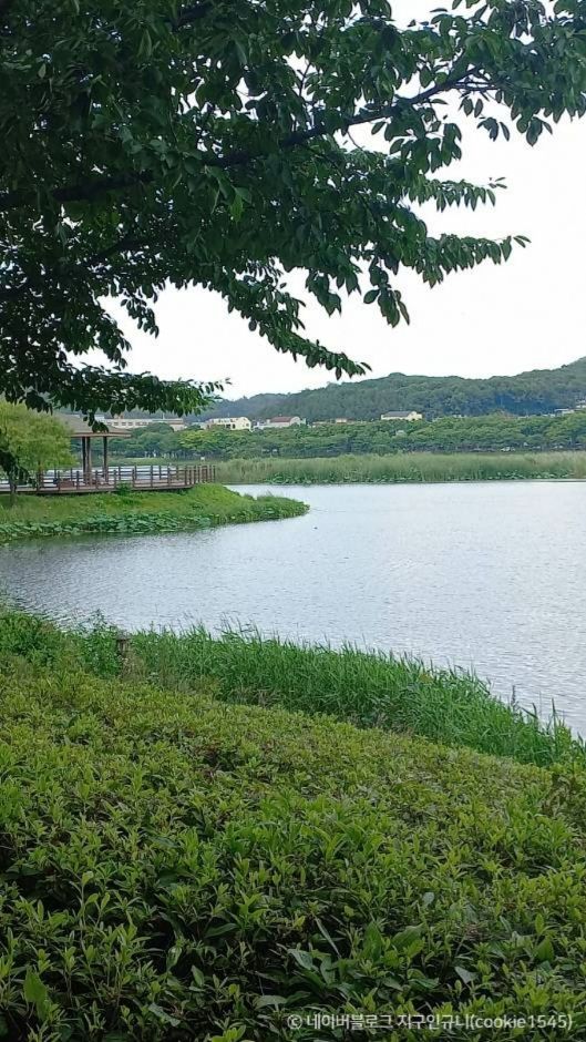 안산 가볼만한곳 베스트10